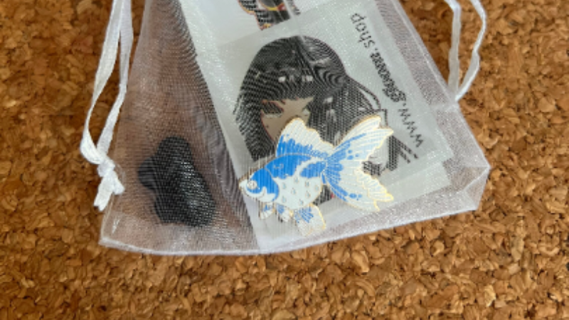 What to Buy, Bring, and Expect at Anime Conventions in 2026